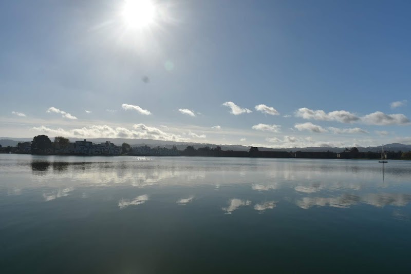 Foster City Parks & Recreation photo 5
