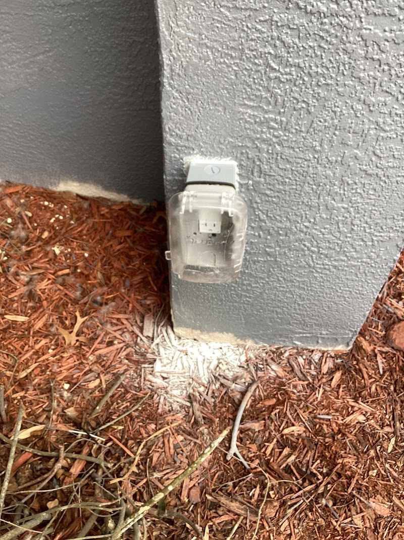Second Opinion Electric photo 5