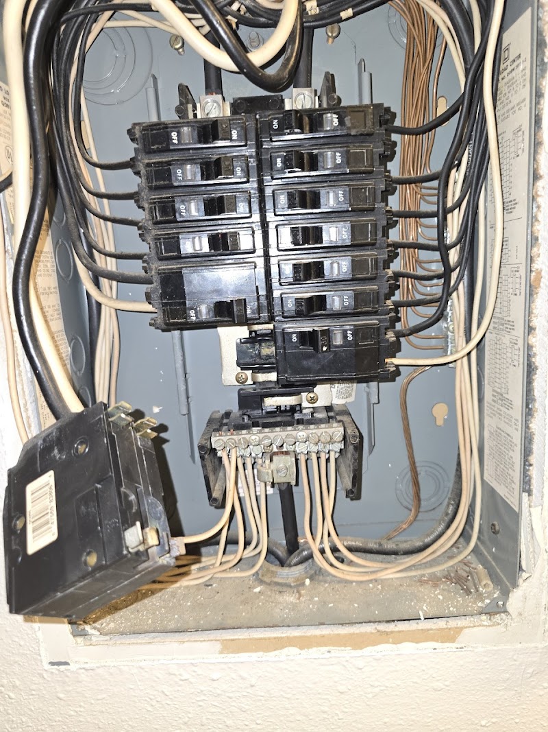 Second Opinion Electric photo 3