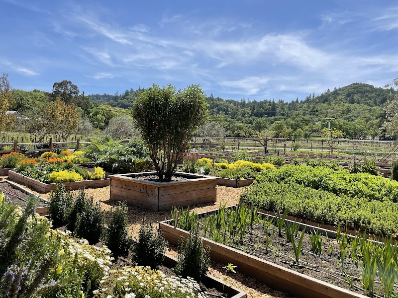 Quivira Vineyards photo 3