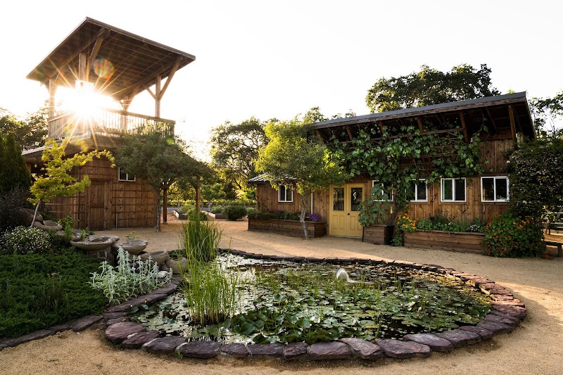 Photo of Quivira Vineyards