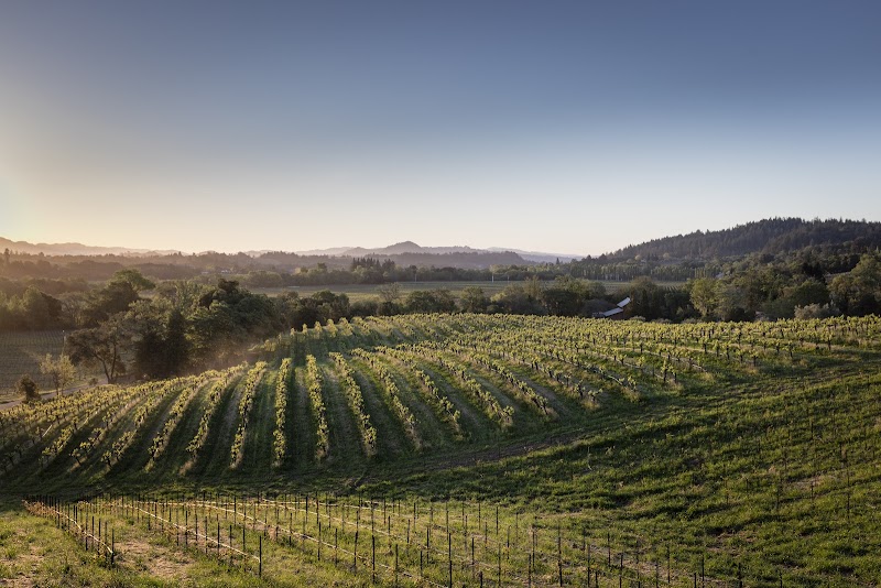 Quivira Vineyards photo 4