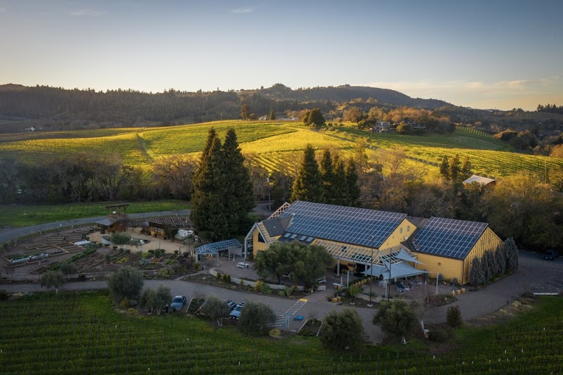 Quivira Vineyards photo 5