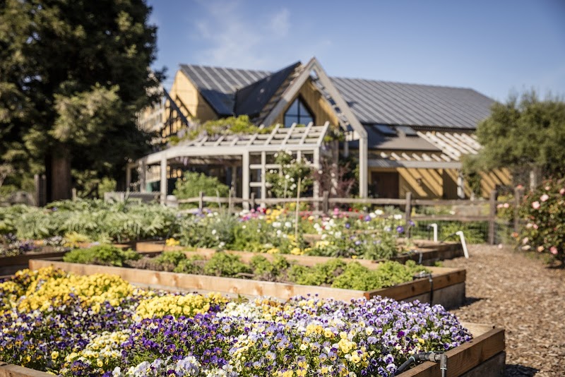 Quivira Vineyards photo 2