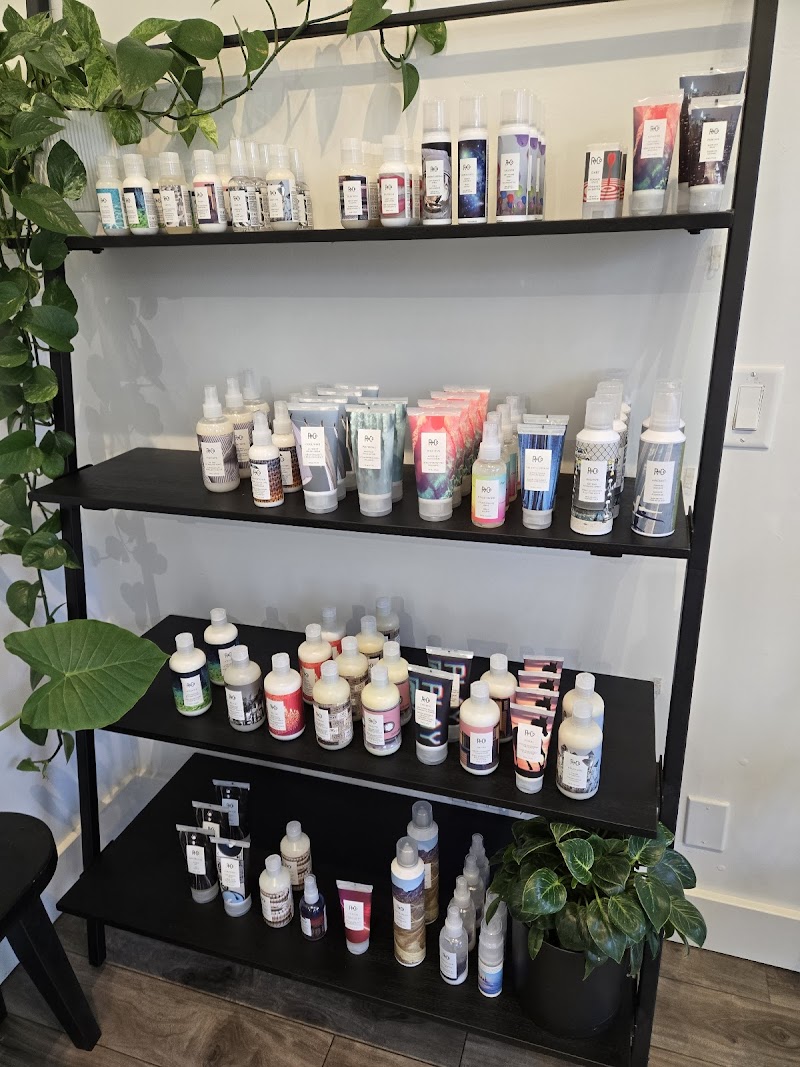 Alchemy Studio photo 2
