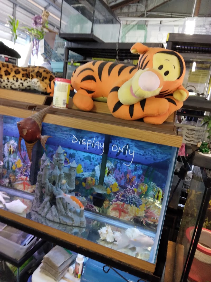 Sunshine Flea Market photo 3