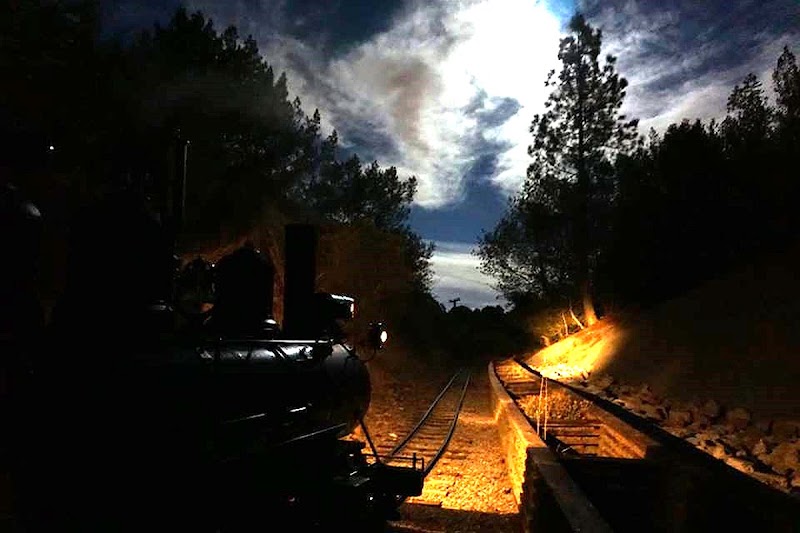 Photo of Tilden Park Steam Train at the Redwood Valley Railway