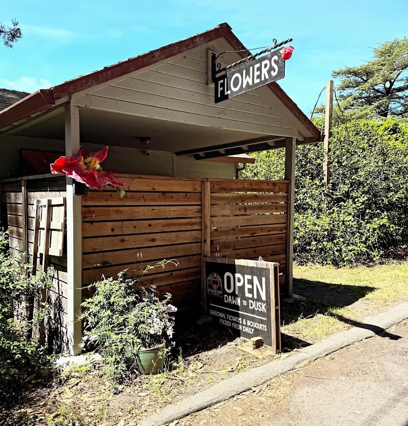 Photo of Full Bloom Flower Stand
