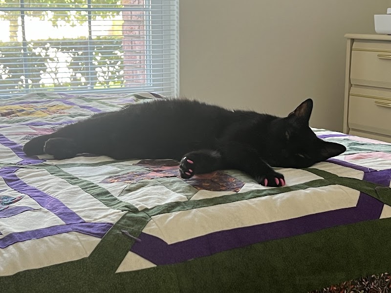 Advanced Pet Care photo 4