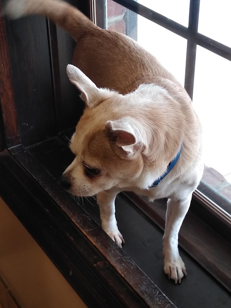 Advanced Pet Care photo 3
