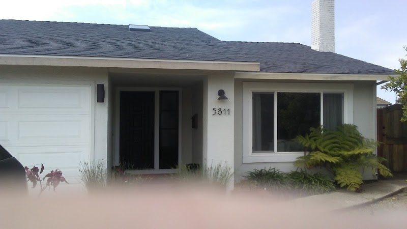 Photo of All Professional Painting