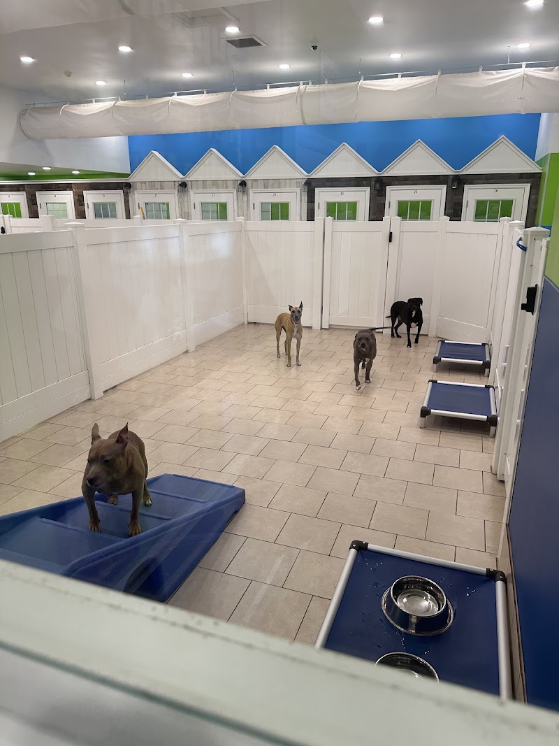 Hounds Town-Zephyrhills photo 3
