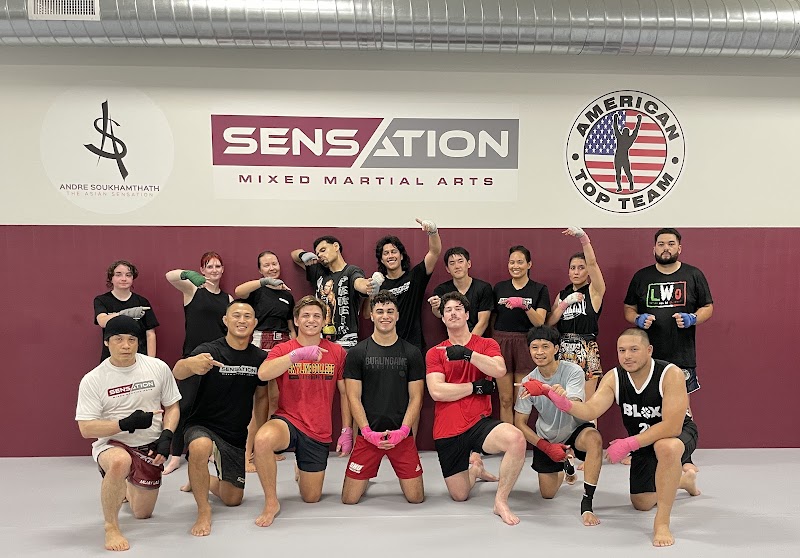 Sensation Mixed Martial Arts photo 2