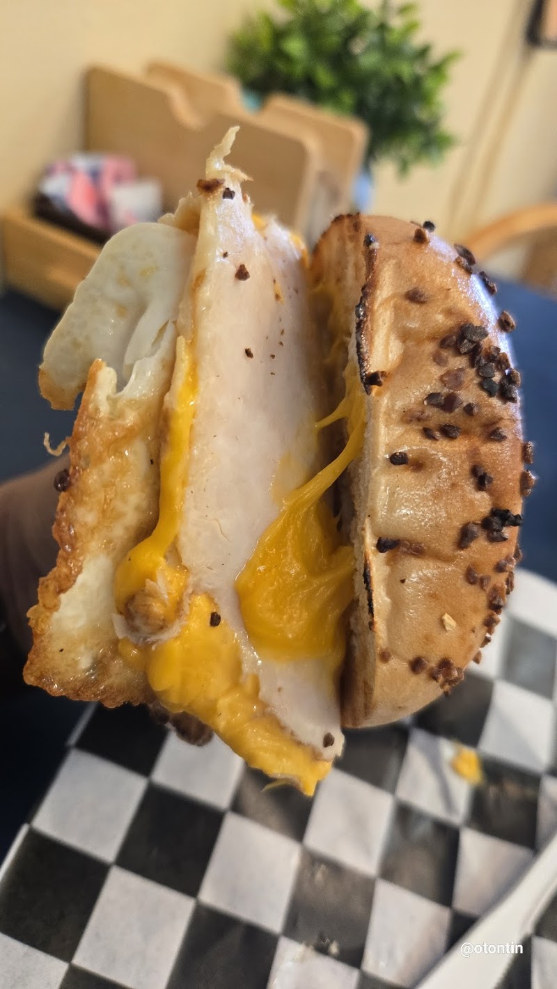 Bagels Up photo 3