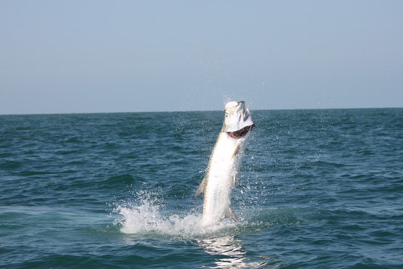Captain John O'Hanlon Fishing Expedition photo 4