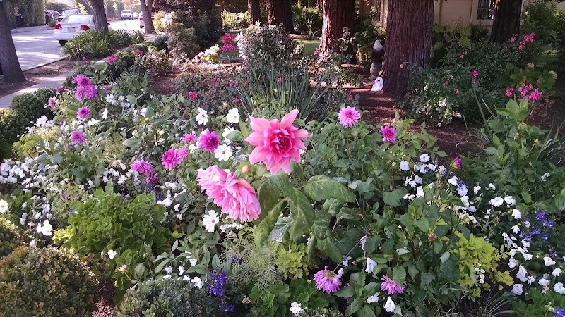 Guinda Street Pollinator Garden photo 4