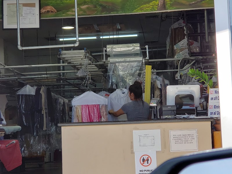 A+ Cleaners photo 3