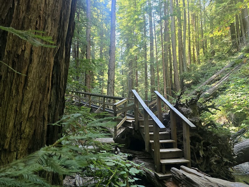 Photo of Fern Creek Trail Bridge