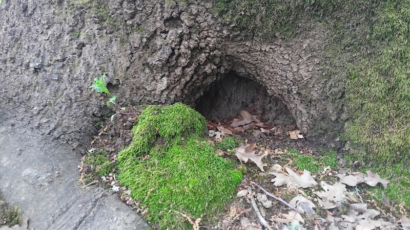 Cloverdale City Park photo 4