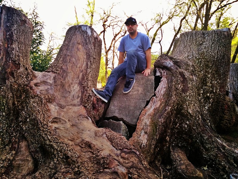 Cloverdale City Park photo 5