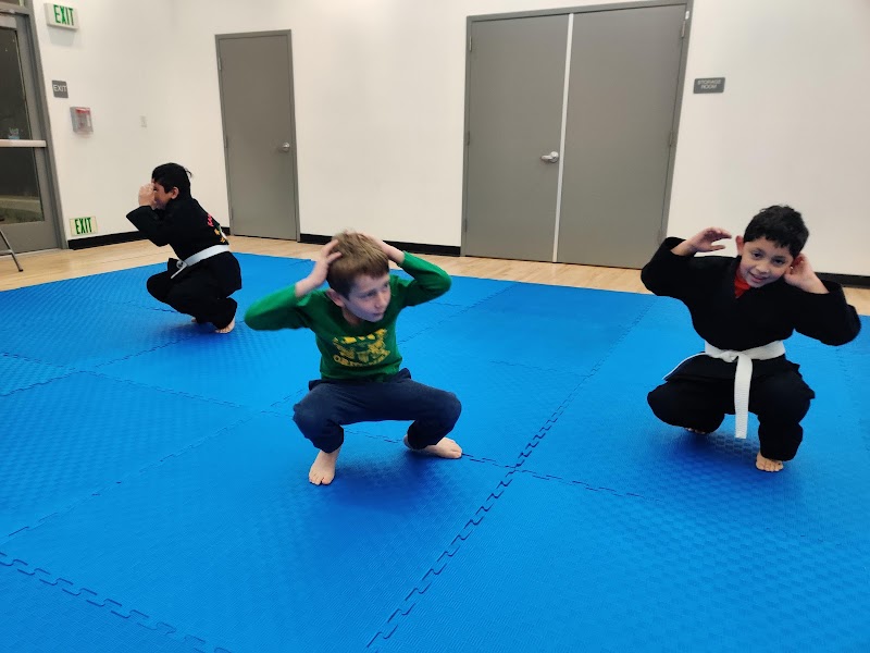 Peninsula Kajukenbo Karate photo 2