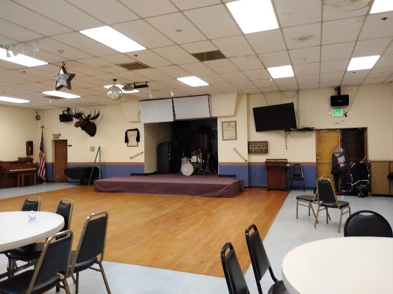 The Moose - Hayward-Castro Valley Lodge 1491 photo 3