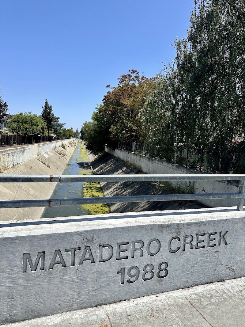 Photo of Matadero Creek