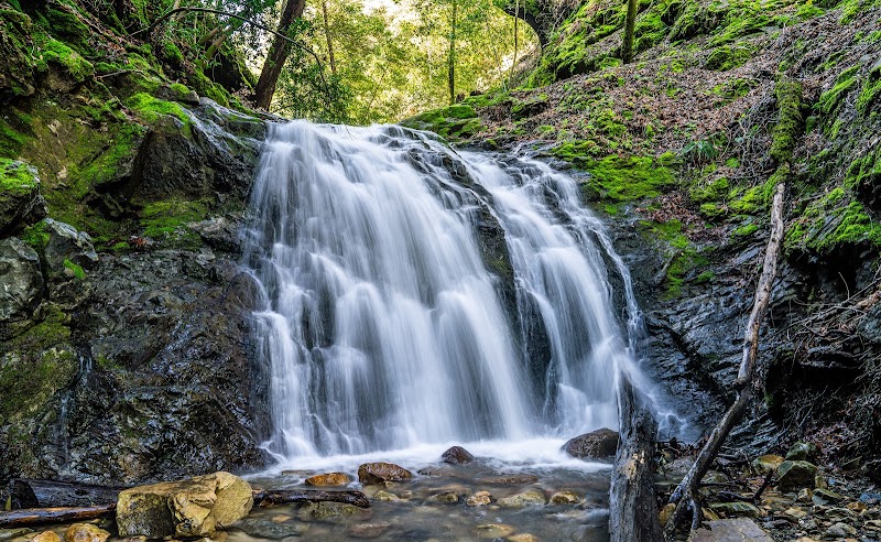 Photo of Uvas Canyon County Park