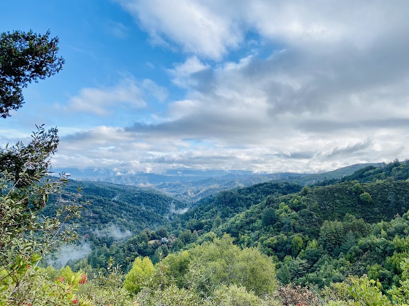 Uvas Canyon County Park photo 3
