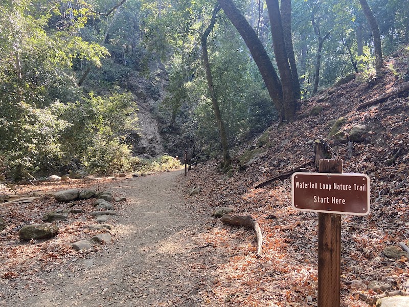 Uvas Canyon County Park photo 5