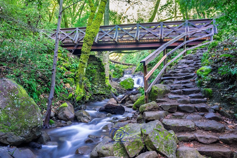 Uvas Canyon County Park photo 4