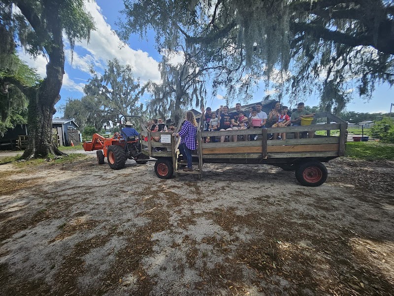 R&R Ranch photo 3