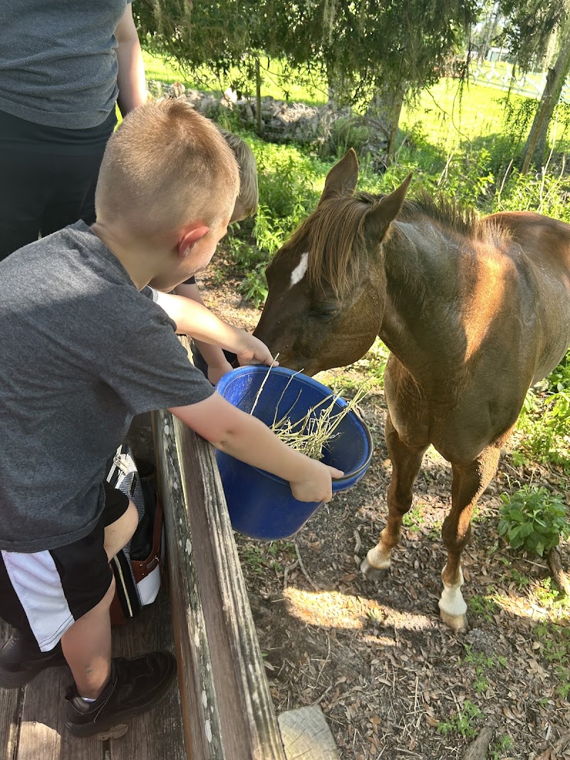 R&R Ranch photo 2