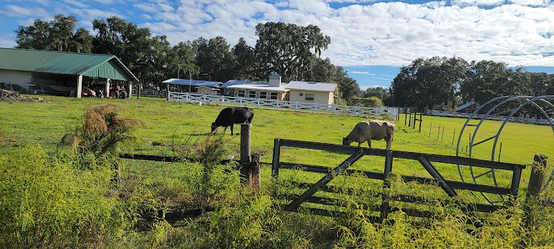 R&R Ranch photo 4