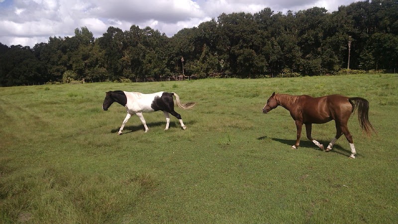 R&R Ranch photo 5
