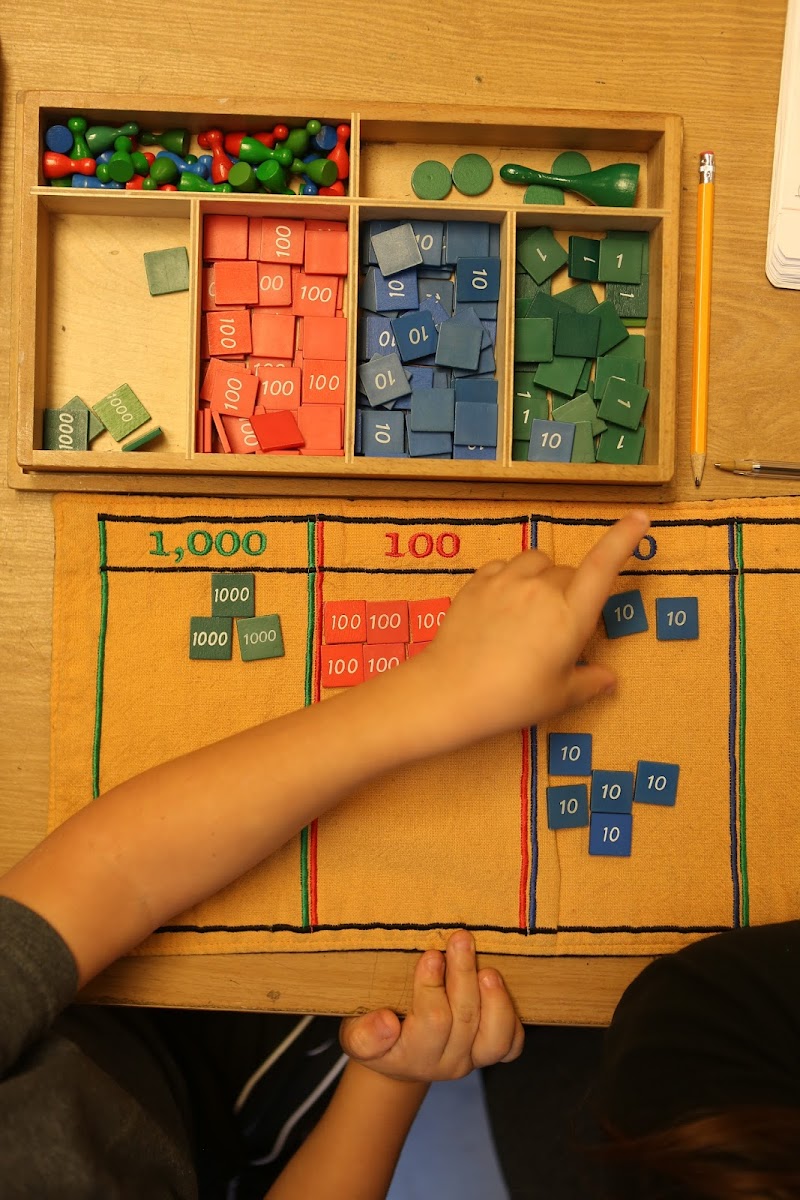 Palm Harbor Montessori Academy photo 4