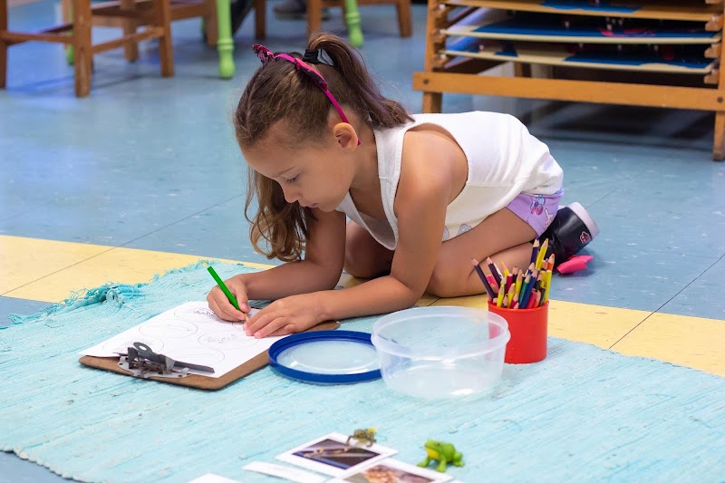 Palm Harbor Montessori Academy photo 3