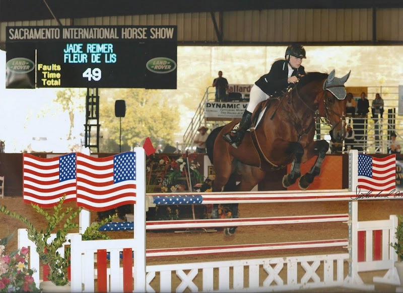 Shady Tree Stables photo 5