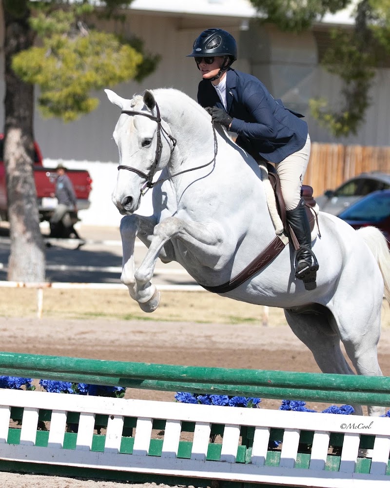 Photo of Shady Tree Stables