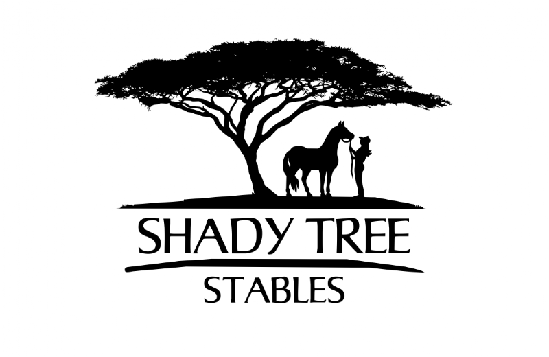Shady Tree Stables photo 4