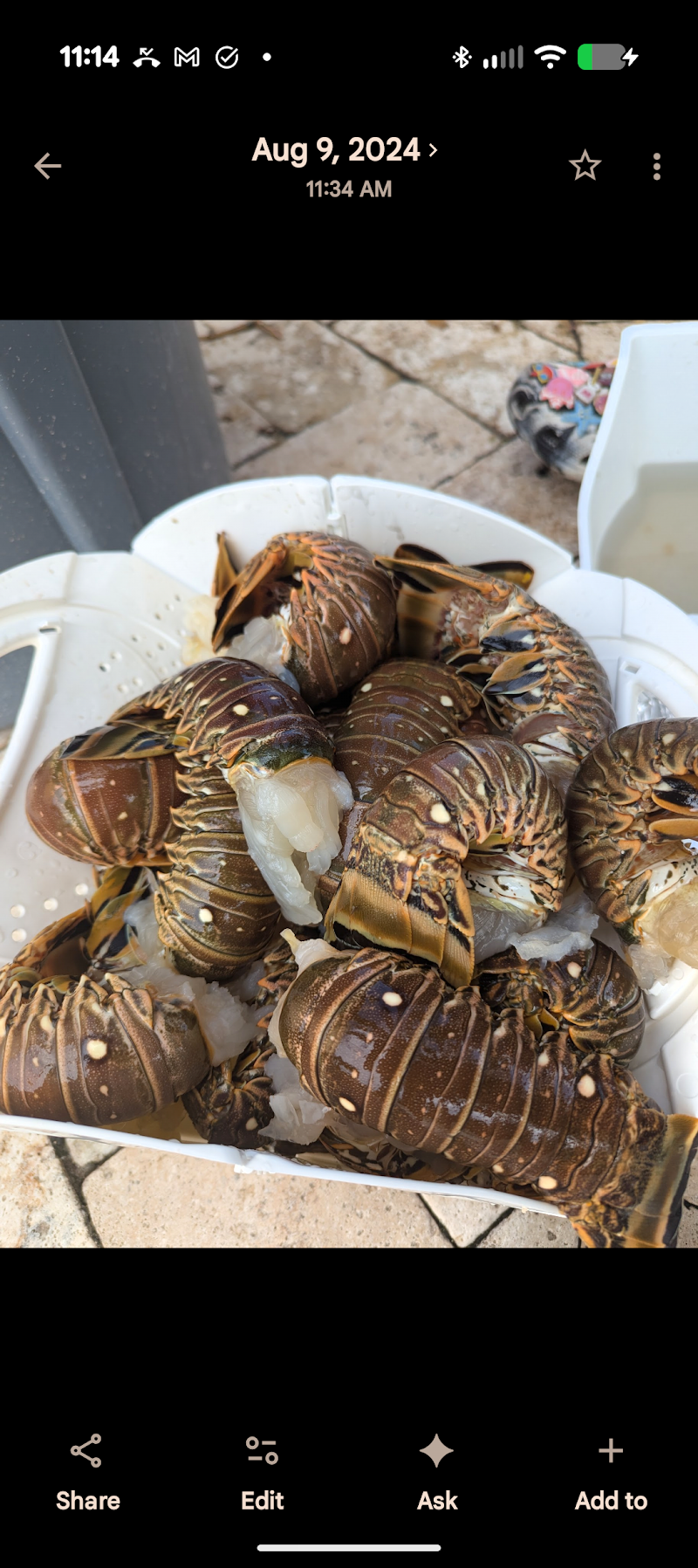 Aripeka Stone Crab Company photo 5