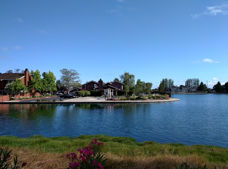 Sea Cloud Park photo 4