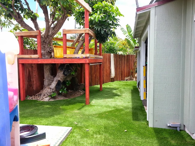 Diamond Greens photo 3