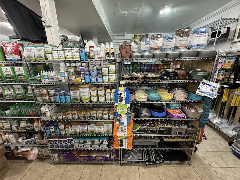 Rowdy & Archie Pet Shop photo 5