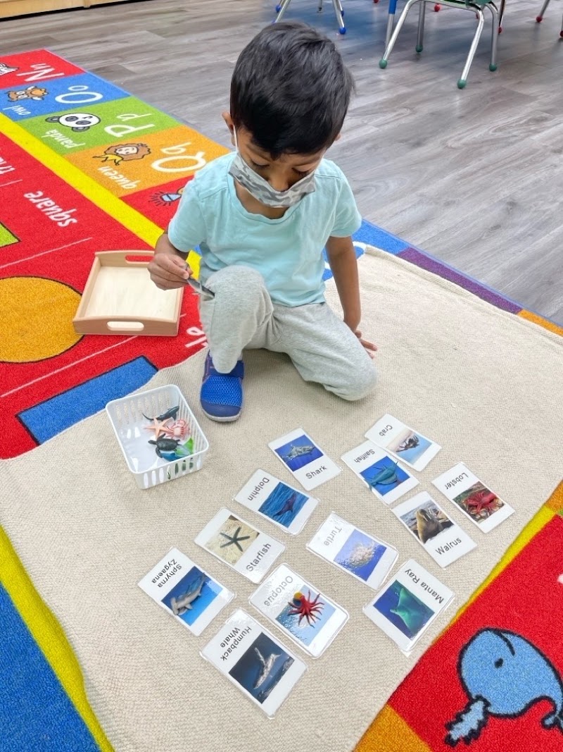 Santa Clara Montessori photo 4