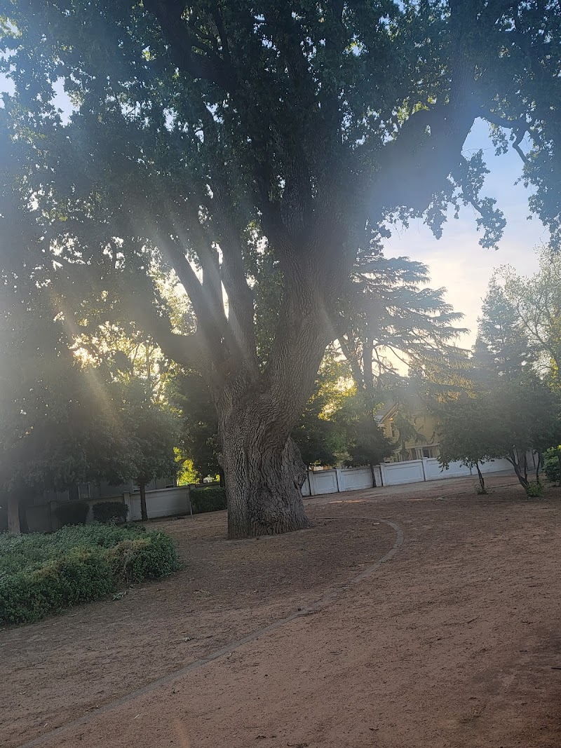 Tennis Courts | Hawkins Park photo 3