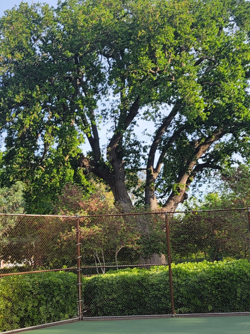 Photo of Tennis Courts | Hawkins Park