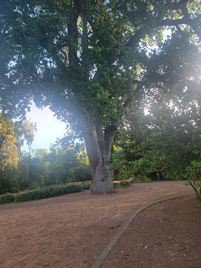 Tennis Courts | Hawkins Park photo 2