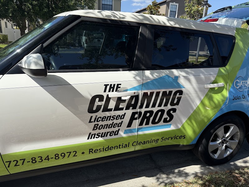 The Cleaning Pros photo 2