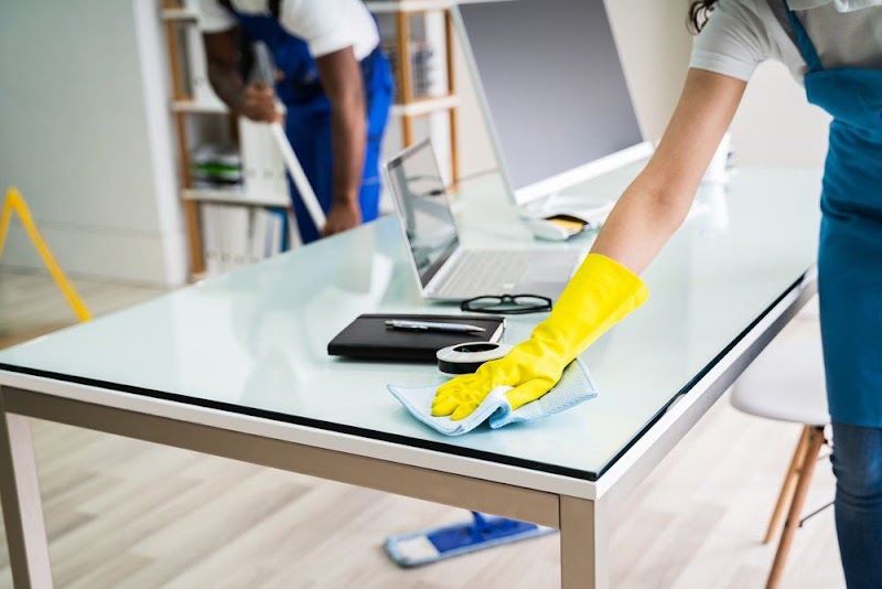 The Cleaning Pros photo 5